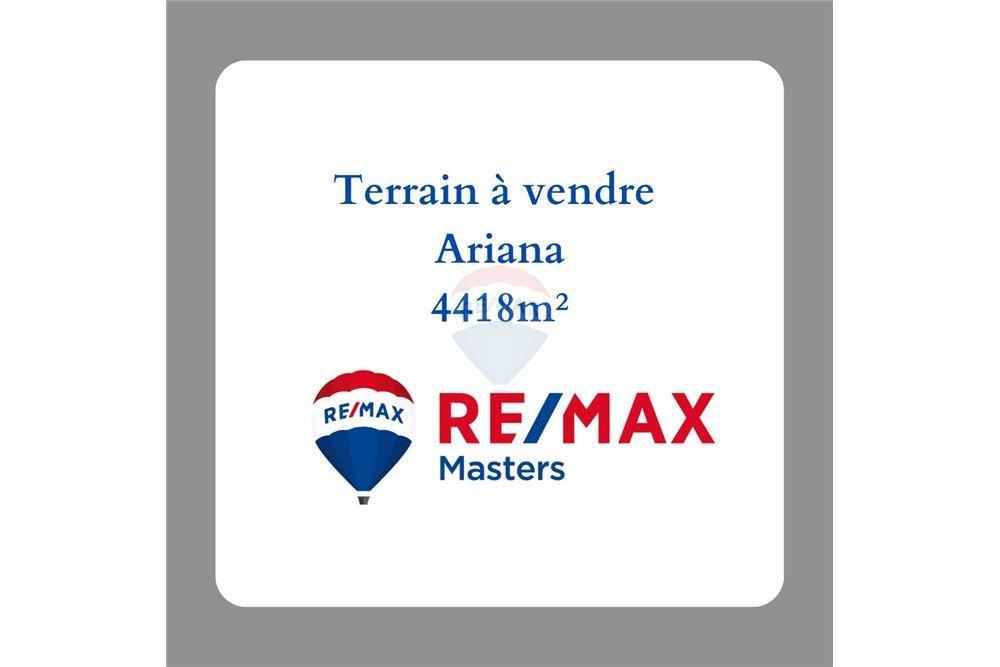 Terrain